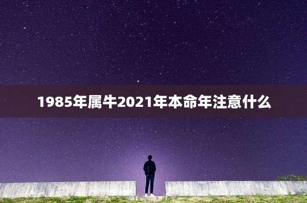 1985年属牛2021年本命年注意什么