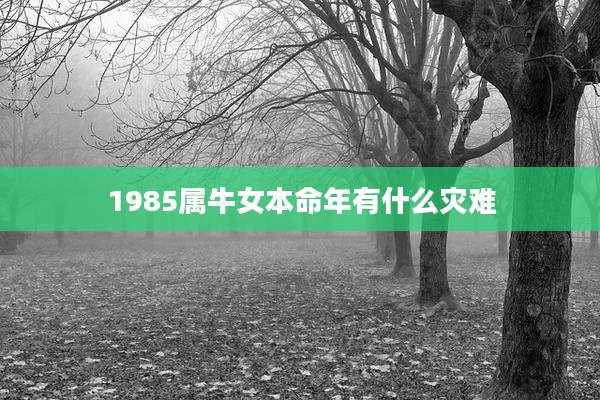 1985属牛女本命年有什么灾难