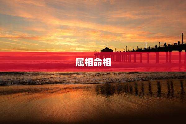 属相命相