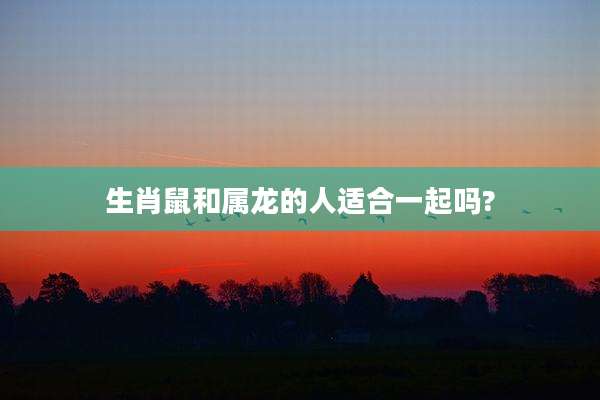 生肖鼠和属龙的人适合一起吗?