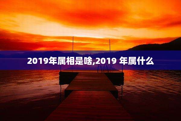 2019年属相是啥,2019 年属什么