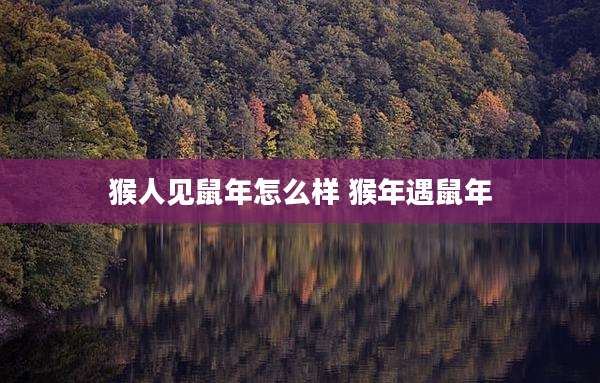 猴人见鼠年怎么样 猴年遇鼠年