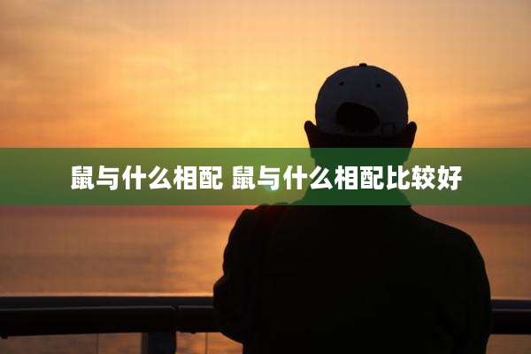 鼠与什么相配 鼠与什么相配比较好