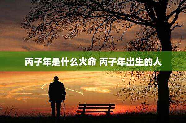 丙子年是什么火命 丙子年出生的人