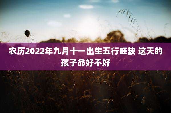 农历2022年九月十一出生五行旺缺 这天的孩子命好不好