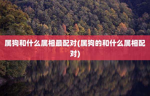 属狗和什么属相最配对(属狗的和什么属相配对)