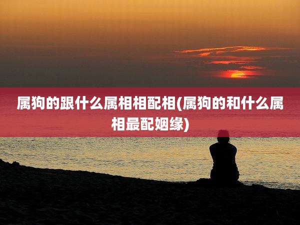 属狗的跟什么属相相配相(属狗的和什么属相最配姻缘)