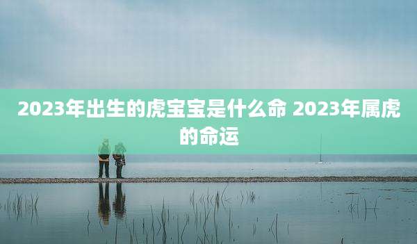 2023年出生的虎宝宝是什么命 2023年属虎的命运