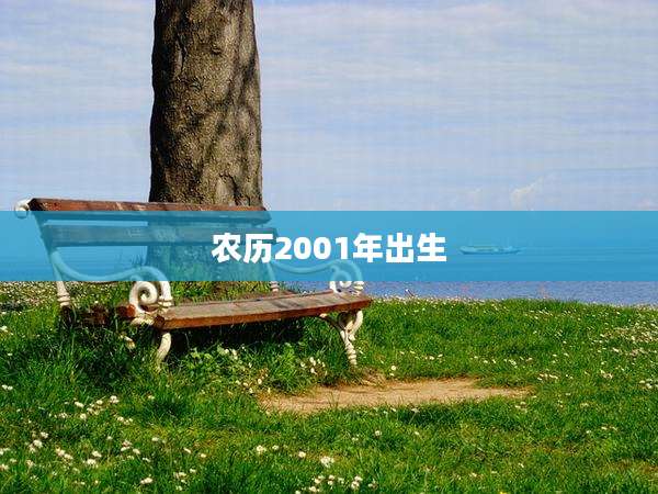 农历2001年出生