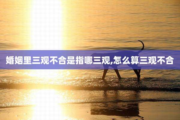 婚姻里三观不合是指哪三观,怎么算三观不合