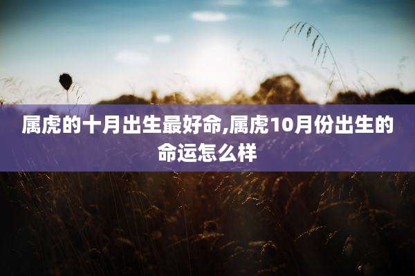 属虎的十月出生最好命,属虎10月份出生的命运怎么样