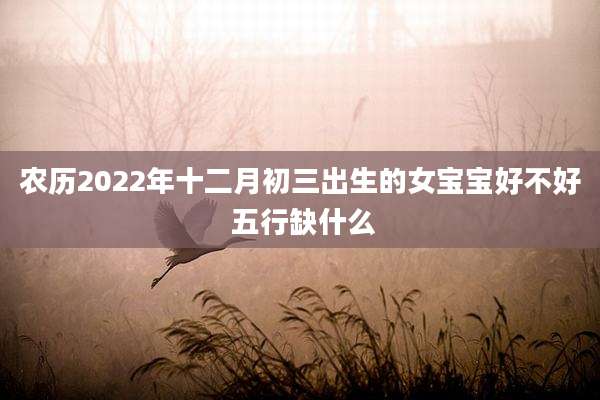 农历2022年十二月初三出生的女宝宝好不好 五行缺什么