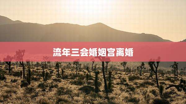 流年三会婚姻宫离婚