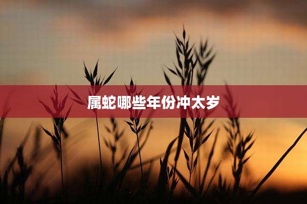 属蛇哪些年份冲太岁