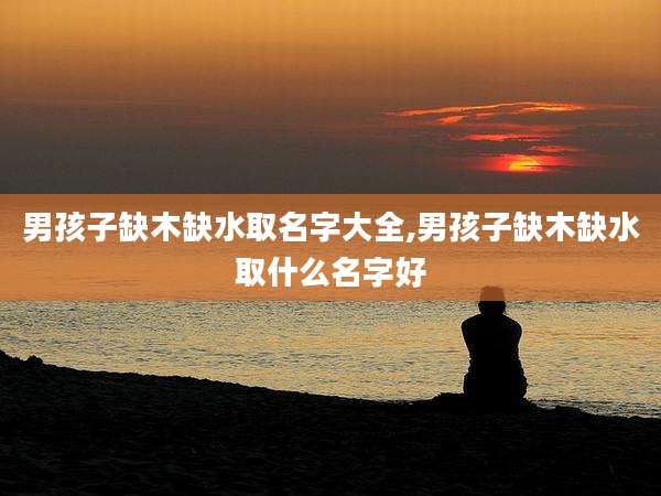 男孩子缺木缺水取名字大全,男孩子缺木缺水取什么名字好
