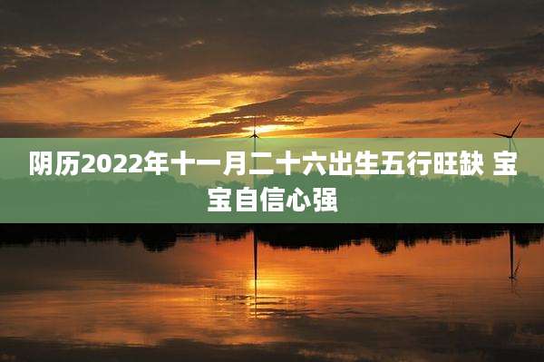 阴历2022年十一月二十六出生五行旺缺 宝宝自信心强