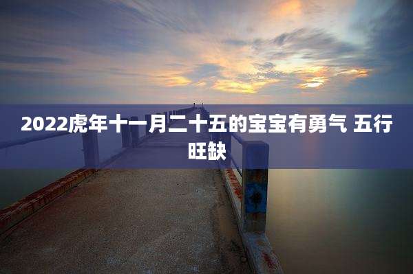 2022虎年十一月二十五的宝宝有勇气 五行旺缺