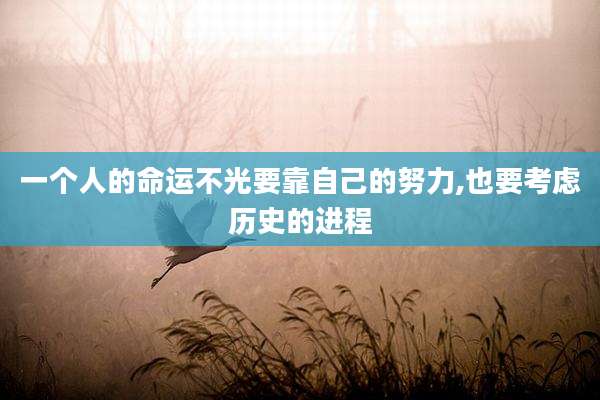 一个人的命运不光要靠自己的努力,也要考虑历史的进程