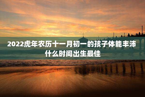 2022虎年农历十一月初一的孩子体能丰沛 什么时间出生最佳