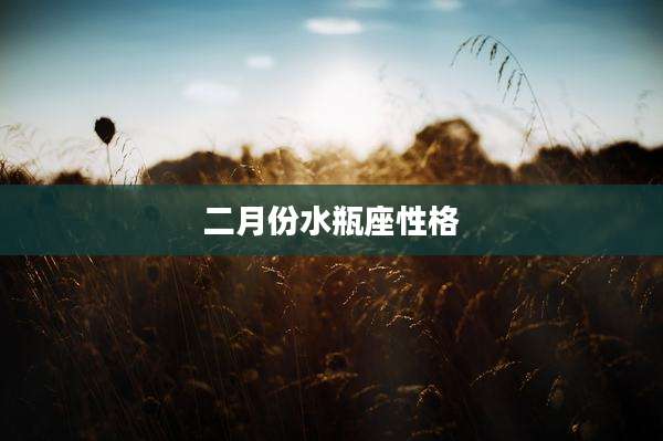 二月份水瓶座性格