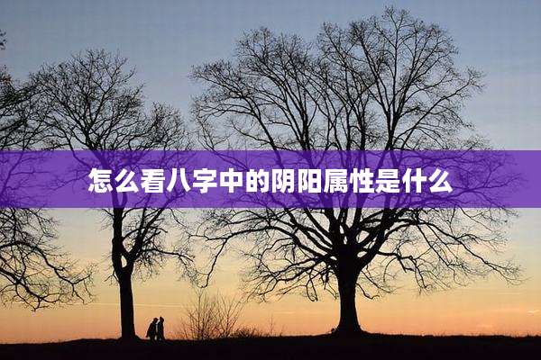怎么看八字中的阴阳属性是什么