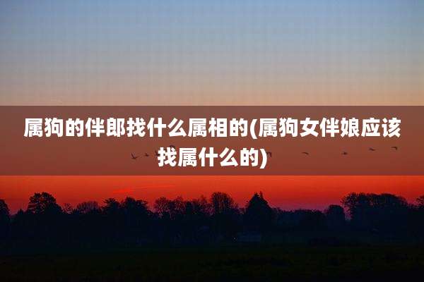 属狗的伴郎找什么属相的(属狗女伴娘应该找属什么的)
