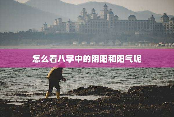怎么看八字中的阴阳和阳气呢