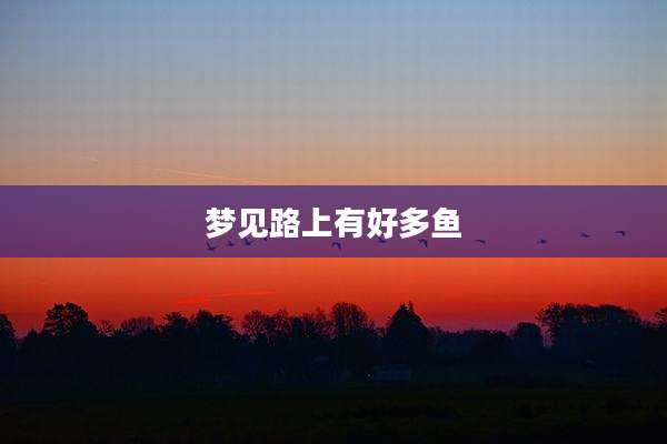梦见路上有好多鱼