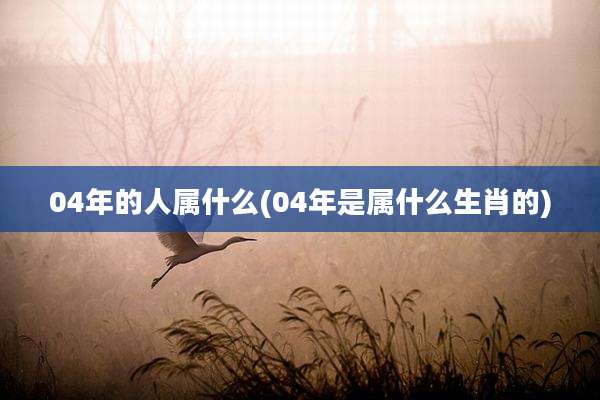 04年的人属什么(04年是属什么生肖的)