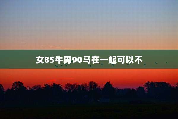 女85牛男90马在一起可以不