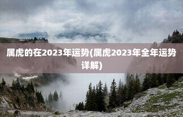 属虎的在2023年运势(属虎2023年全年运势详解)
