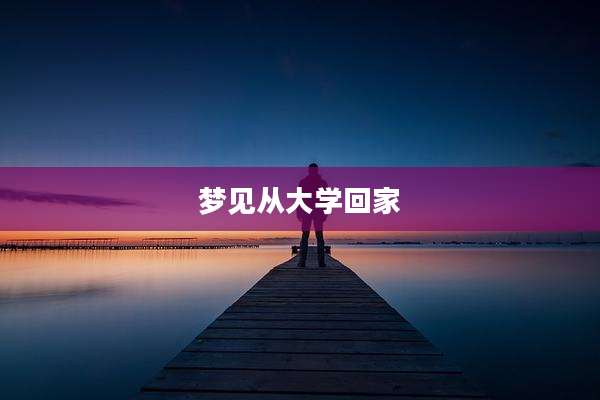 梦见从大学回家