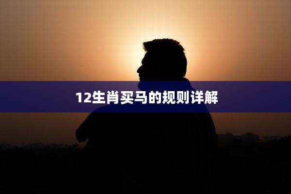12生肖买马的规则详解