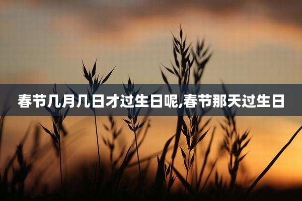 春节几月几日才过生日呢,春节那天过生日