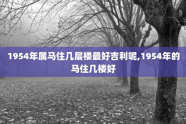 1954年属马住几层楼最好吉利呢,1954年的马住几楼好