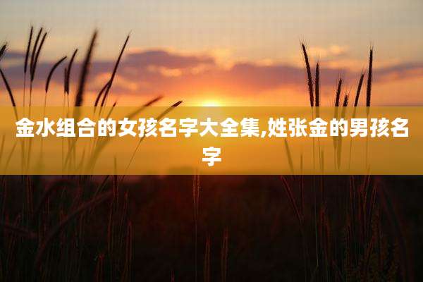 金水组合的女孩名字大全集,姓张金的男孩名字