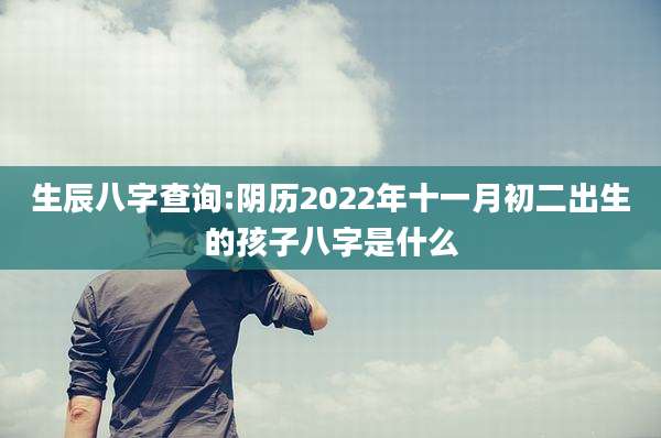 生辰八字查询:阴历2022年十一月初二出生的孩子八字是什么