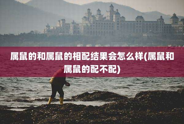 属鼠的和属鼠的相配结果会怎么样(属鼠和属鼠的配不配)