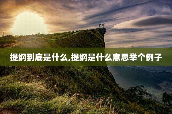 提纲到底是什么,提纲是什么意思举个例子