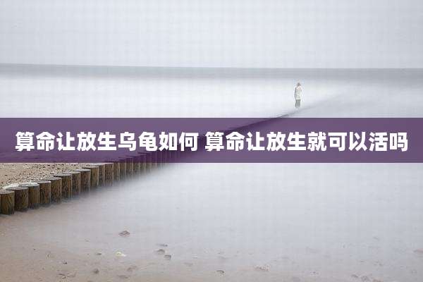 算命让放生乌龟如何 算命让放生就可以活吗