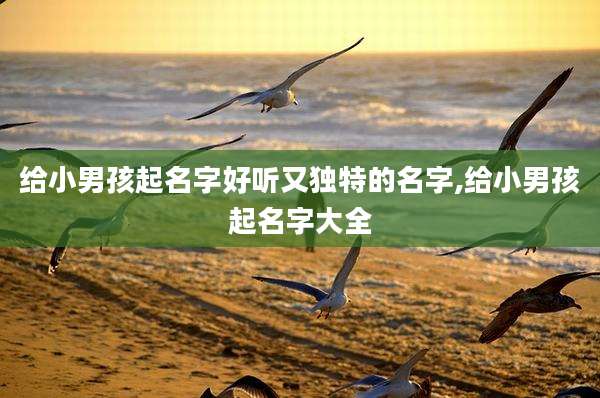 给小男孩起名字好听又独特的名字,给小男孩起名字大全