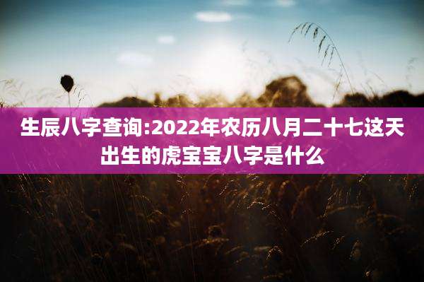 生辰八字查询:2022年农历八月二十七这天出生的虎宝宝八字是什么