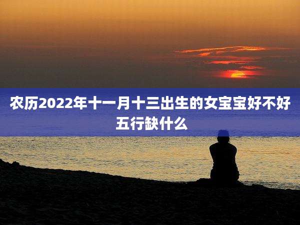 农历2022年十一月十三出生的女宝宝好不好 五行缺什么