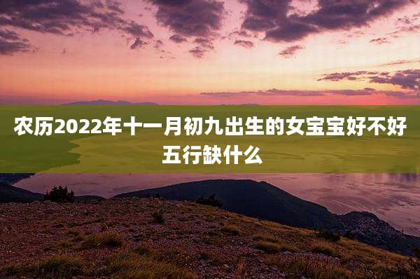 农历2022年十一月初九出生的女宝宝好不好 五行缺什么