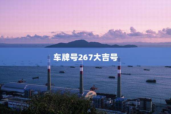 车牌号267大吉号