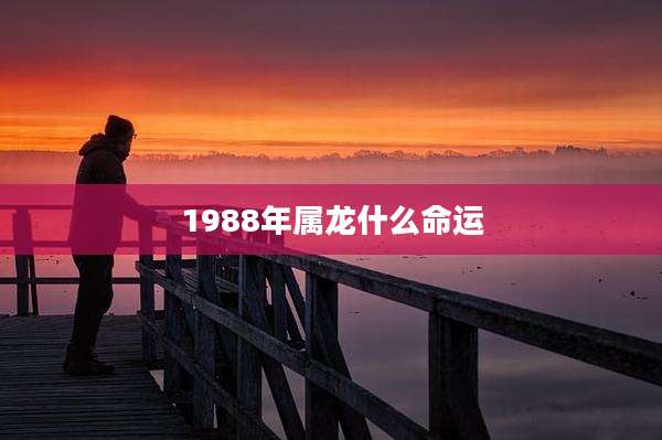 1988年属龙什么命运