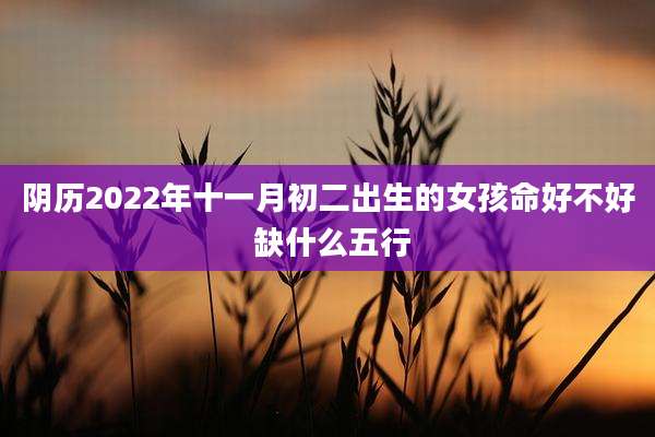 阴历2022年十一月初二出生的女孩命好不好 缺什么五行