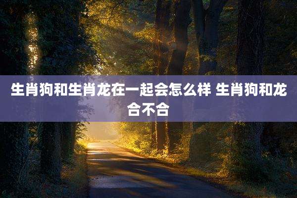 生肖狗和生肖龙在一起会怎么样 生肖狗和龙合不合