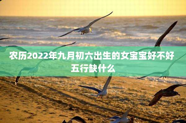 农历2022年九月初六出生的女宝宝好不好 五行缺什么