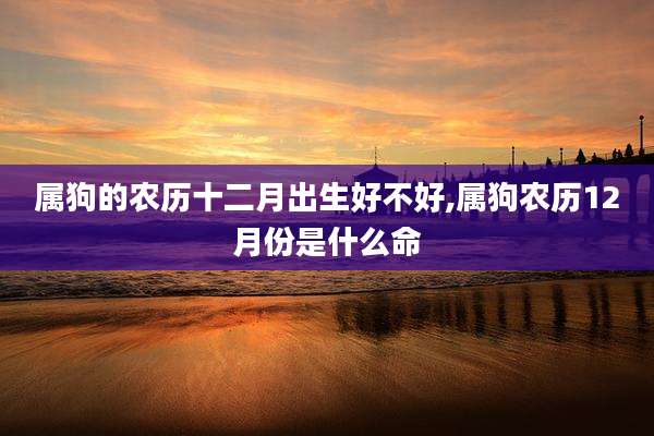 属狗的农历十二月出生好不好,属狗农历12月份是什么命